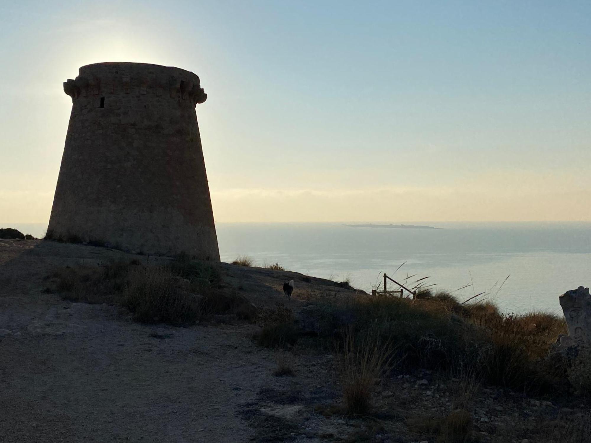 Petirrojo Villa Santa Pola Dış mekan fotoğraf