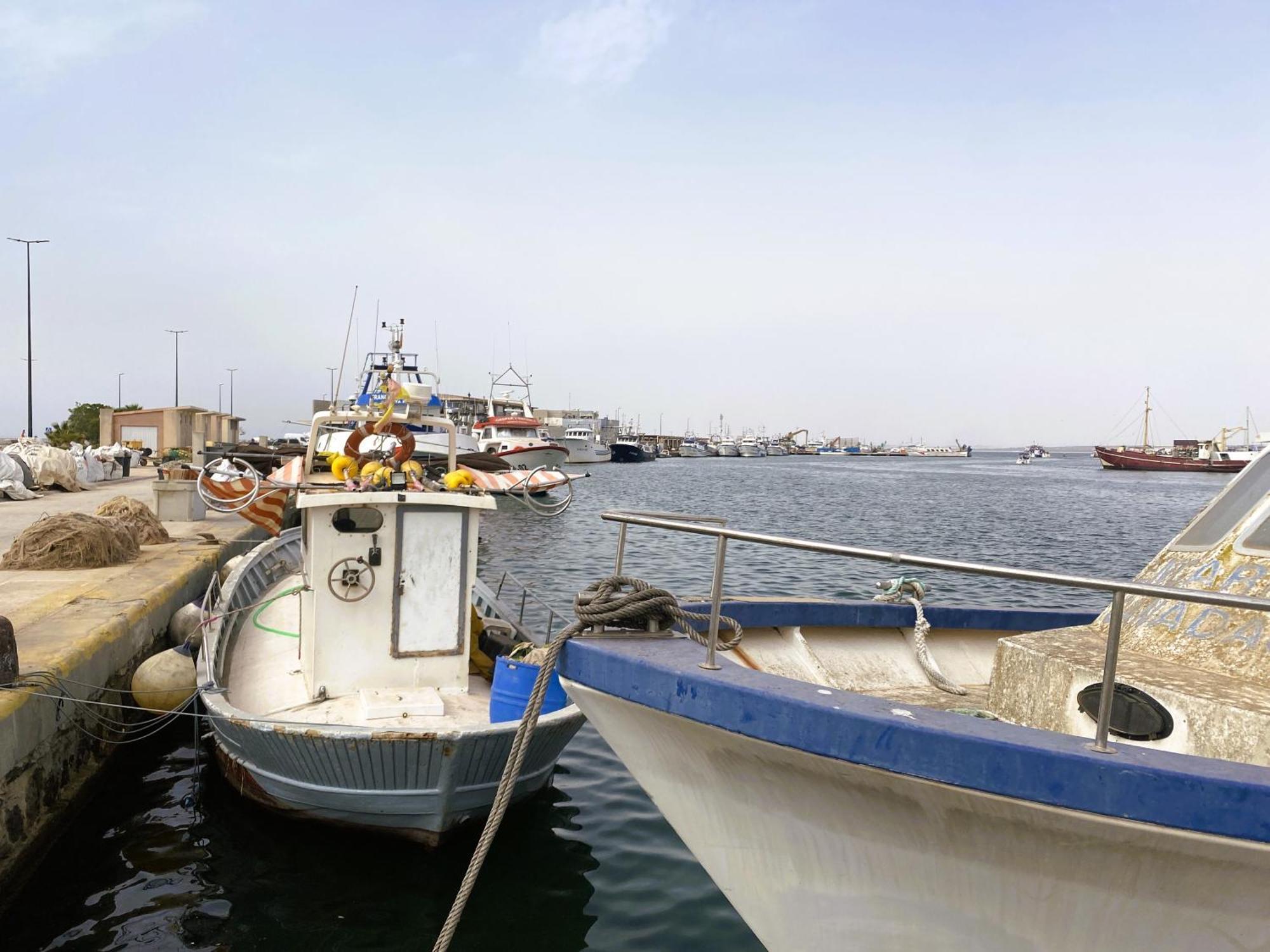 Petirrojo Villa Santa Pola Dış mekan fotoğraf