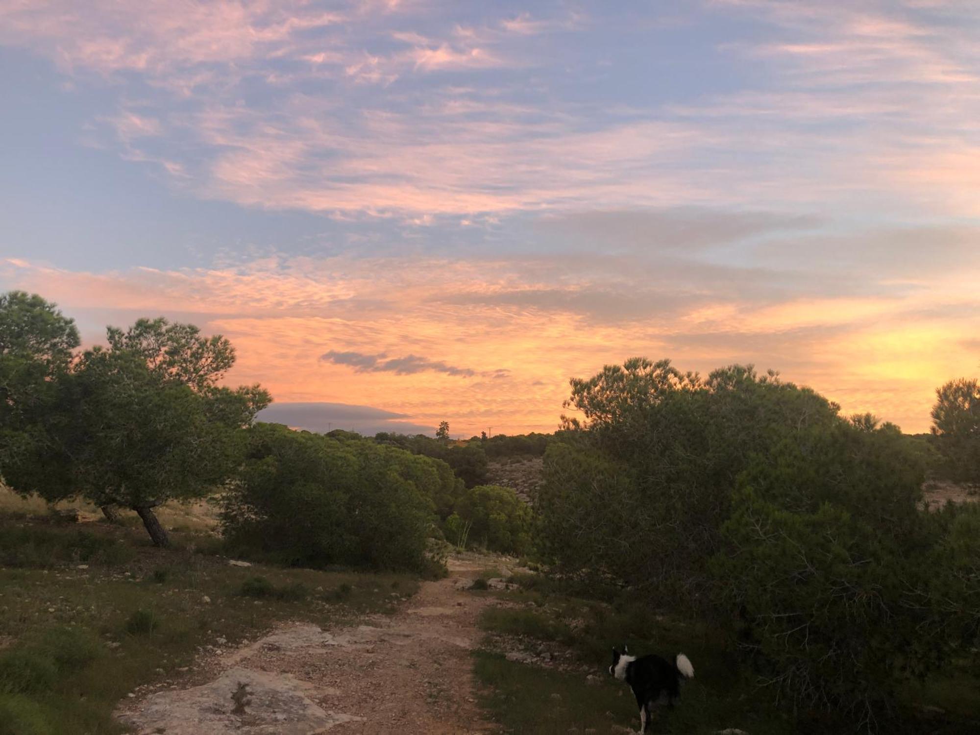 Petirrojo Villa Santa Pola Dış mekan fotoğraf