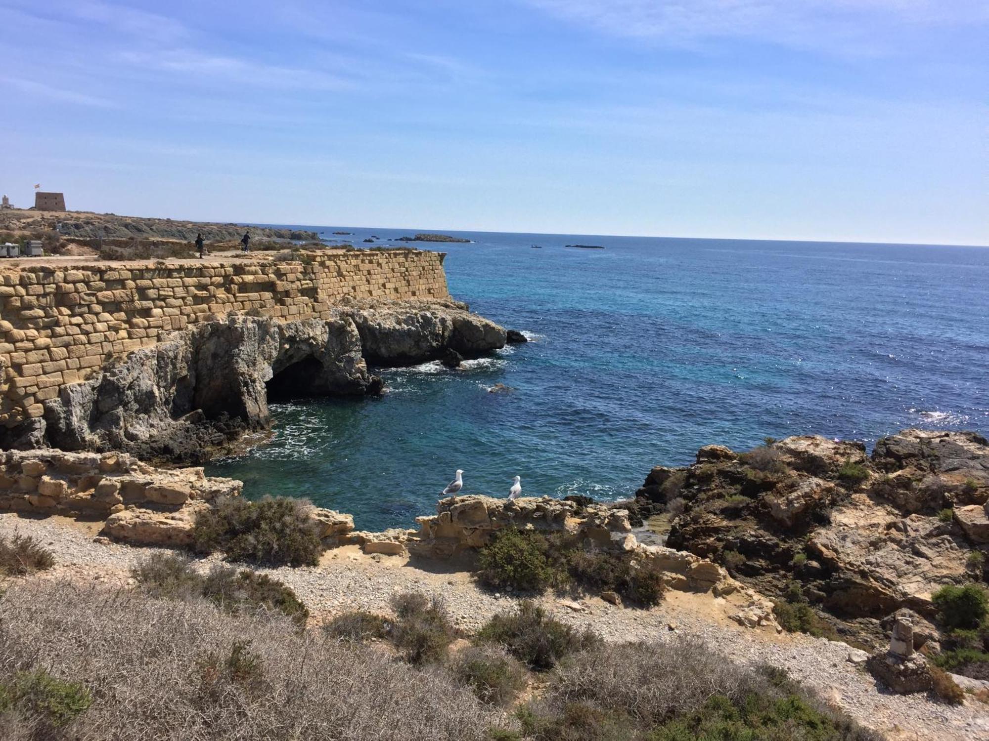 Petirrojo Villa Santa Pola Dış mekan fotoğraf