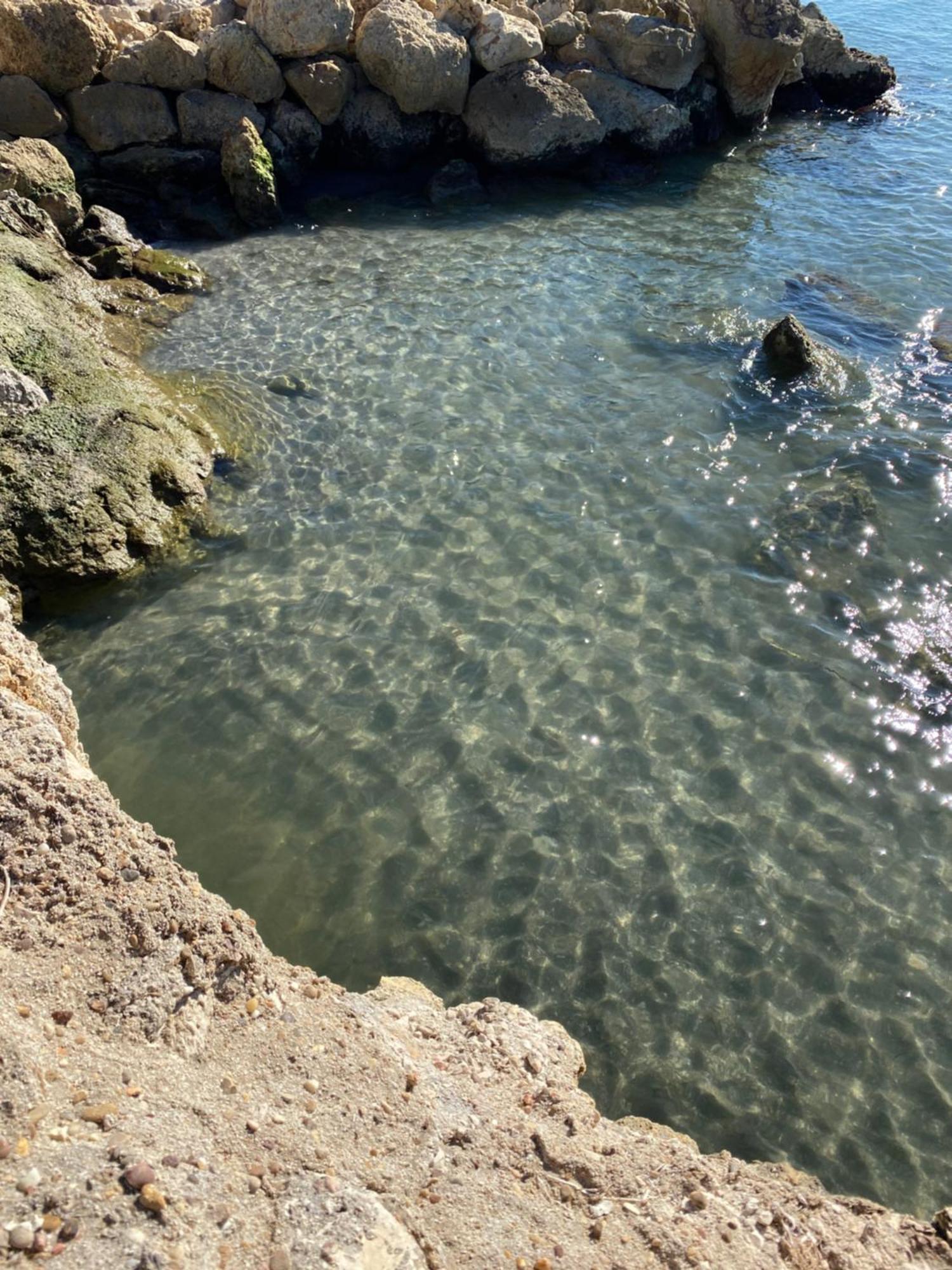Petirrojo Villa Santa Pola Dış mekan fotoğraf