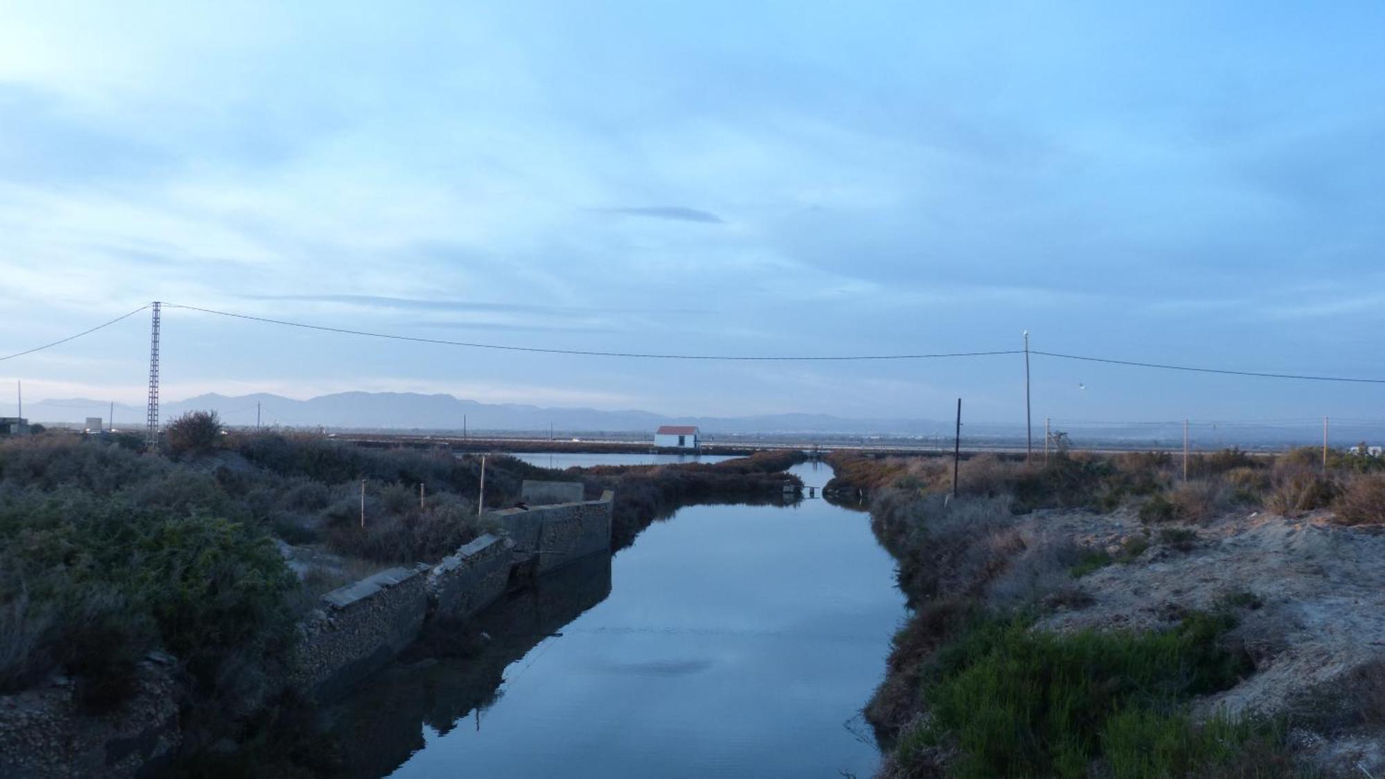 Petirrojo Villa Santa Pola Dış mekan fotoğraf